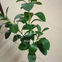 High-grade simulation Super hand bean leaf green plant home living room soft decoration decoration flower arrangement