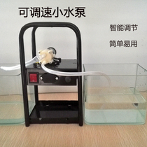 Adjustable speed diaphragm pump Automatic self-priming pump Circulating household small pump Miniature pump 12V silent pump