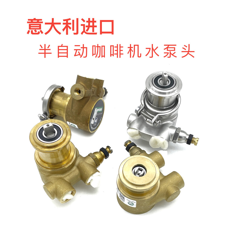 Italian Original Coffee Machine Water Pump Wega Nova/Aibo/Dajing Bfc/La Ma Fuli De Rotary Pump Head