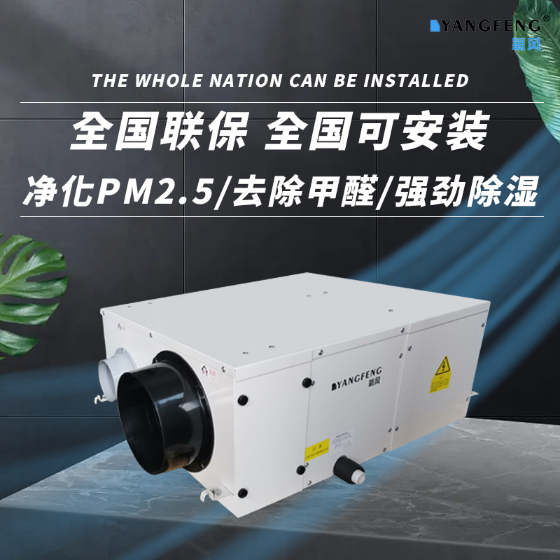 Oxygen Fresh Air Dehumidification Integrated Machine Central Fresh Air Dehumidifier Fresh Air System Ceiling Duct Type Villa Basement Oxygen Fresh Air Dehumidification Integrated Machine Central Fresh Air Dehumidifier Fresh Air System Ceiling Duct Type Villa Basement
