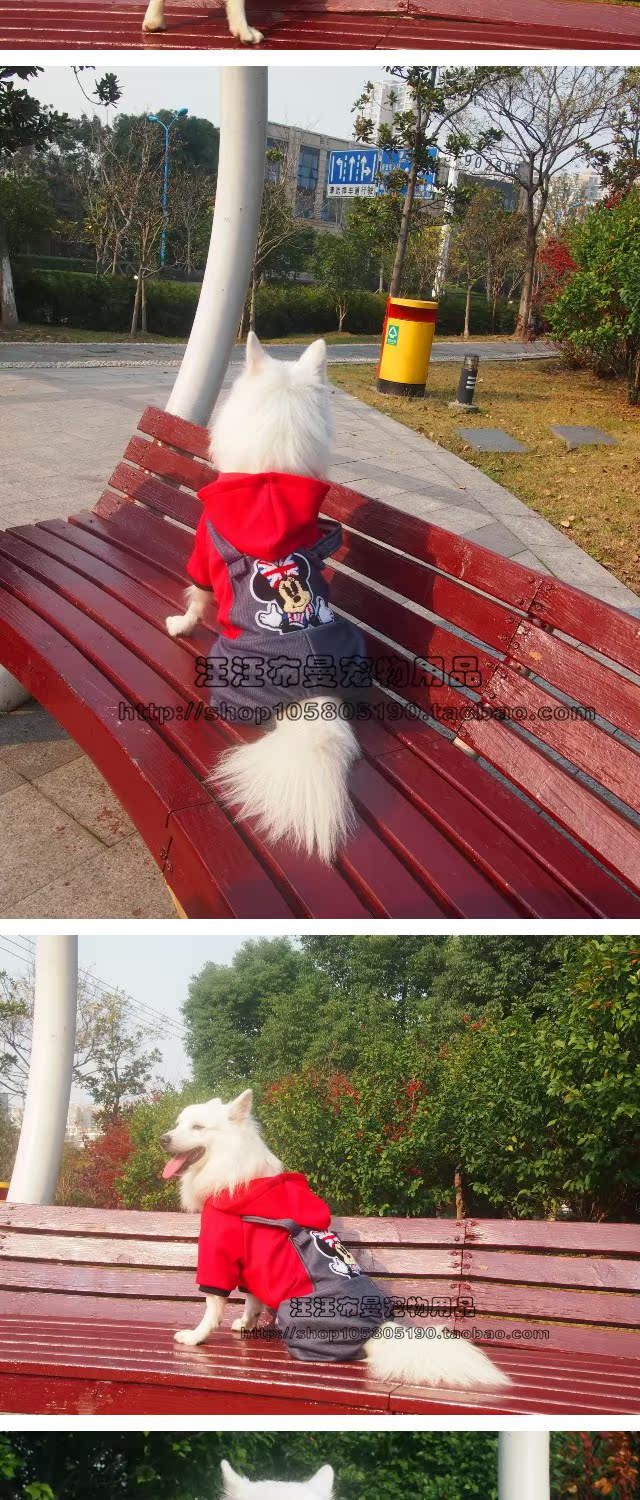 Quần áo thú cưng Quần áo mùa thu và mùa đông Labrador Golden Retriever Quần áo chó lớn Samoyed quần áo chó vừa và lớn Quần áo bốn chân - Quần áo & phụ kiện thú cưng áo ấm cho chó con