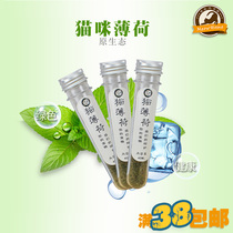 Catnip Natural Peppermint Hair Hair Removal Ball Cat Snacks Catnip Powder Mint Leaf 38