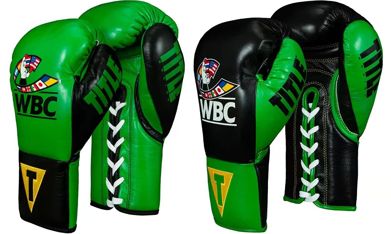 Title WBC Pro Fight Leather Lace Up Gloves