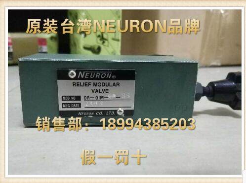 Taiwan NEURON Pressure reducing valve DR-01M-PP-HL DR-0IM-PB-M DR-2G-M DR-02C-M