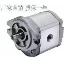 Quality assurance gear pump PA-9-R-D6F PA-10-R-D6F quantitative gear pump