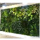 Simulated Plant Wall Background Wall Storefront Sign Decoration Flower Wall Green Plastic Artificial Flowers Eucalyptus Green Plant Wall