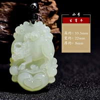 Гетиан нефритовый зодиак Niu [Tombber]