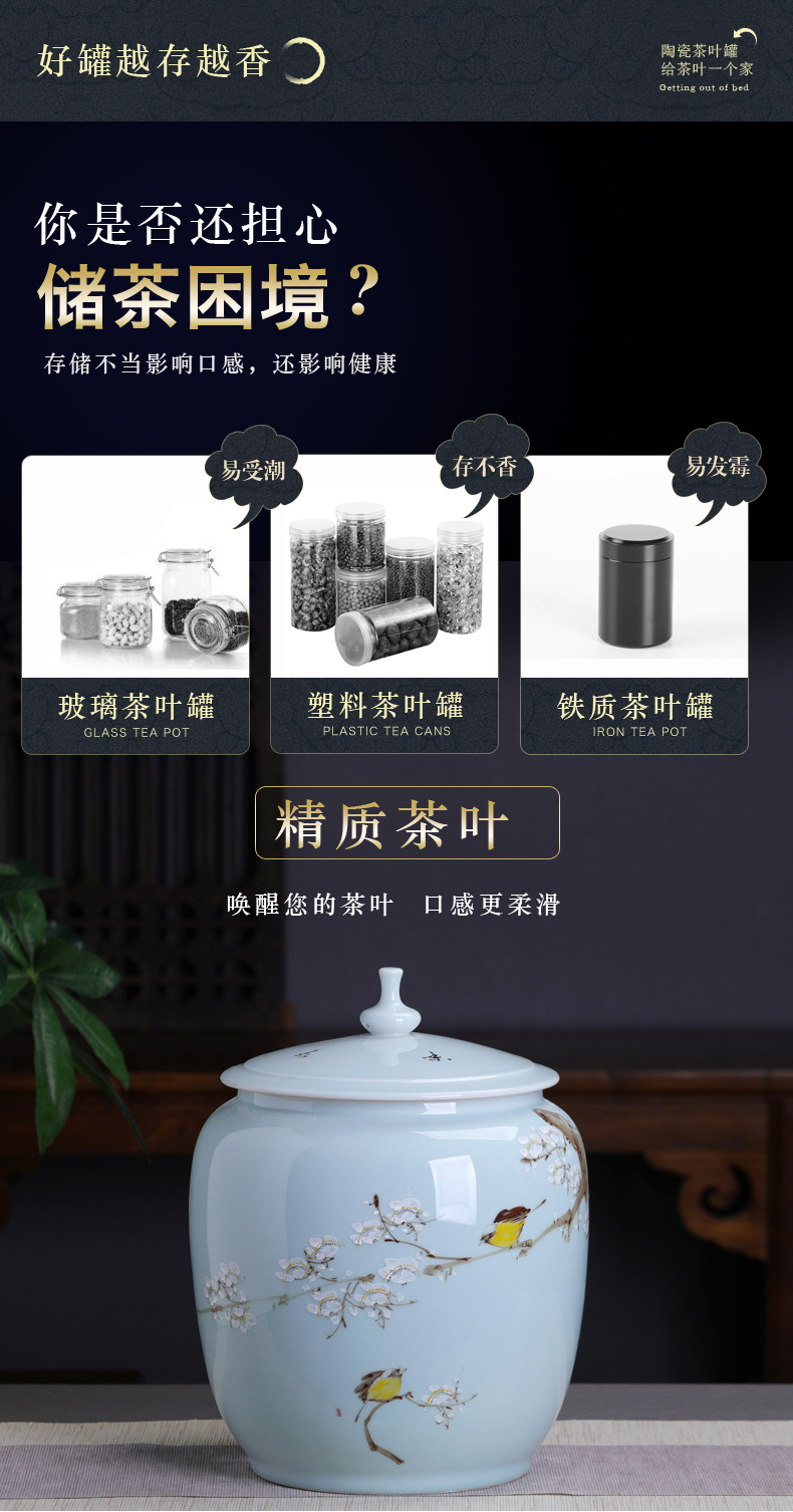 Hand - made ceramic name plum furnishing articles home decoration storage tank with cover Chinese tea pot large capacity home office