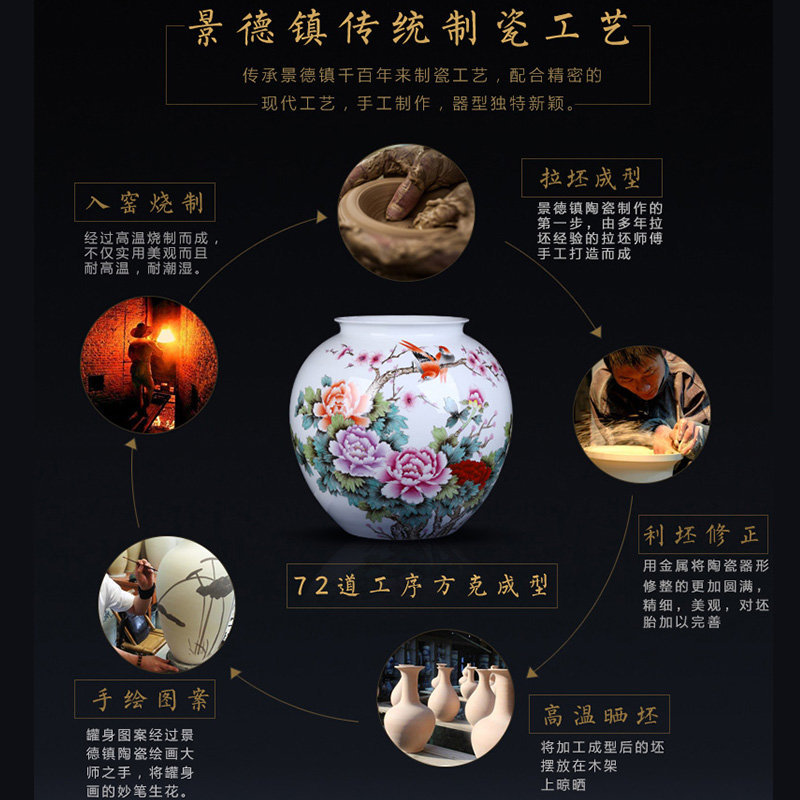 Jingdezhen ceramic big vase furnishing articles hand - made master vase decoration home sitting room decorate a room TV ark