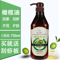 Beauty salon olive basic essential oil skin care open back massage soothing whole body SPA aromatherapy emollient oil 1000ML