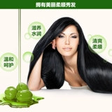 泊泉雅 Оливковое масло, шампунь, парфюмированный мужской универсальный кондиционер, контроль жирного блеска, долговременный эффект