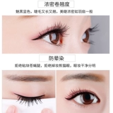 BOB Удлиняющая водостойкая завивающая плотная тушь, база под макияж для сухой кожи, не растекается