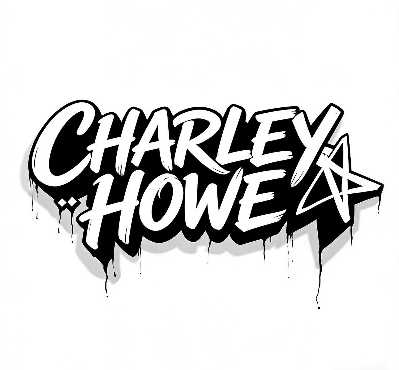 CHARLEYHOWE 坐垫防水套工厂店
