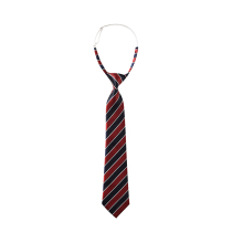 Langgao British style childrens tie Experimental Primary School West Lake Primary School Huandong Primary School Tie Student Tie