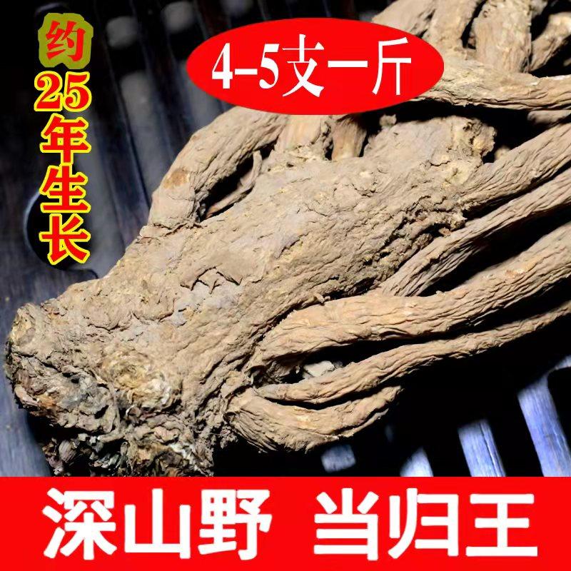 25-year-old pure wild premium Minxian old angelica season new arrival whole root extra large thick root natural sulfur-free smoked Chinese herbal medicine
