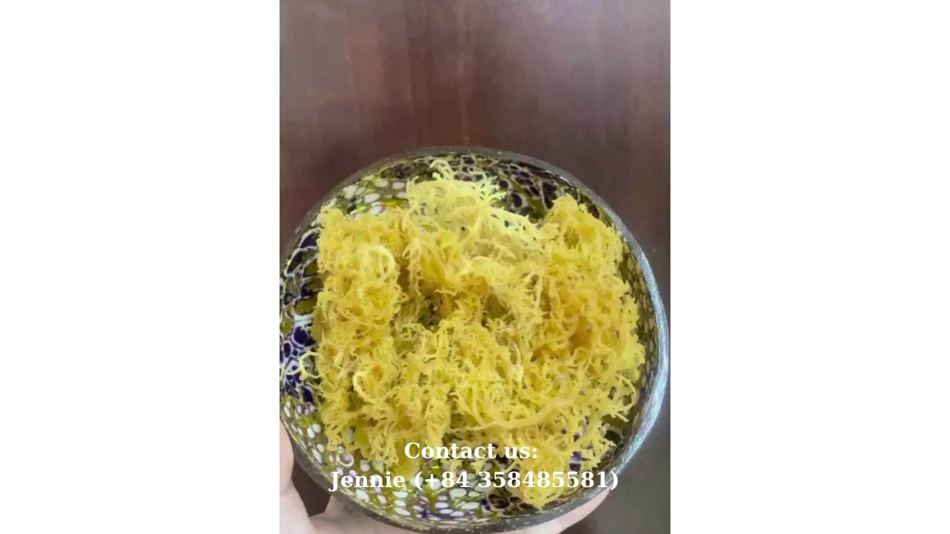 Wildcrafted Sea Moss Irish Moss From Vietnam Ocean Ms. Esther