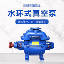 Zibo Haoyang 2SK series two-stage water ring vacuum pump industrial high vacuum water ring vacuum pump head accessories