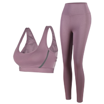 Camel Professional Yoga Wear Set Womens Tight High Waist Fitness Pants Elastic Running Training Shockproof Sports Bra Summer