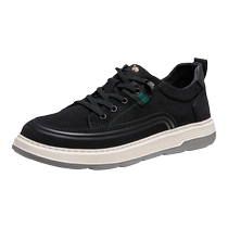 Camel Outdoor Shoes Mens Shoes 2024 Summer New Style Comfortable Breathable Canvas Shoes Lightweight Versatile Casual Shoes Mens