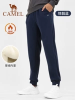 Y13CY05015, шокирующий синий, мужской