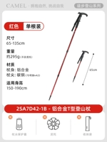 Телескопическая модель алюминиевого сплава (T-Handle)-Red