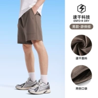 Рейнджер Браун, кобель, J15BW04046