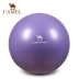 CAMEL lạc đà thể thao bóng yoga Giảm cân thể hình giảm cân căng căng bóng nổ phòng tập thể dục giảm béo bóng Yoga