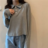 Короткий базовый приятный телу брендовый лонгслив для школьников, коллекция 2021, осенний, воротник поло, оверсайз