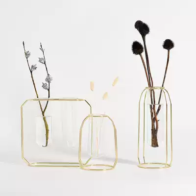 Xiaoxijia Nordic style Gold wrought iron glass vase Hydroponic dried flower vase Desktop decoration living room decoration