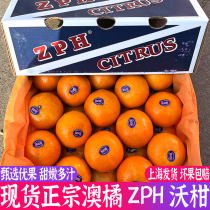 Spot Aussie Orange ZPH Worth citrus 8 catty box loaded with sweet and juicy orange orange orange orange fresh as a season fruit