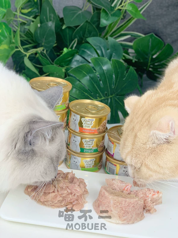 Meow no two đóng hộp cho mèo nhập khẩu từ Thái Lan, thú cưng Nestlé, snack cho mèo, vị cá ngừ, thức ăn ướt cho mèo - Đồ ăn nhẹ cho mèo