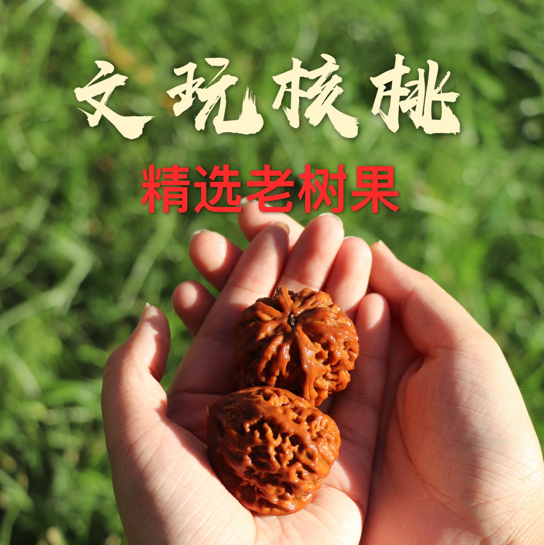 Wenwan walnut a pair of hands playing a fine lion head official hat four buildings southern Xinjiang stone apple orchard boring white lion