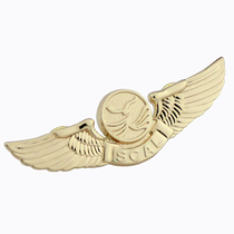 Captain China hero crew Sichuan Airlines Pilot Badge Metal Memorial Badge Badge Chest