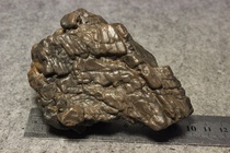 Hami Xinjiang surface petrified tree petrified wood tree jade #16 Gobi stone sketch combination rough stone