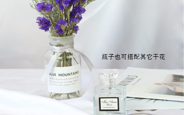 Ins nâu chai ảnh trắng chai nhôm đạo cụ trang trí chai màu xanh lá cây lá tiếng Anh sticker đạo cụ hình ảnh trang tri nha dep