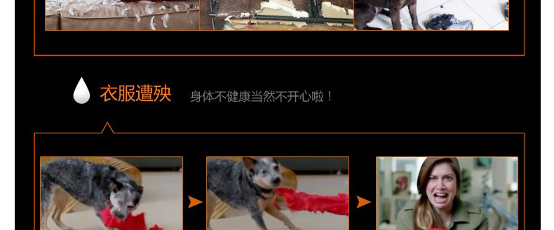 Mới yêu thích Kang pet hậu môn kem chống viêm điều trị mèo và chó viêm hậu môn viêm mông quanh mông liếm Teddy - Cat / Dog Medical Supplies Dụng cụ thú y Hà Nội