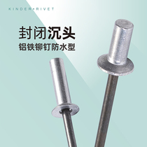 Closed countersunk head rivet core pulling aluminum iron 4mm3 waterproof pull nail sealed flat head national standard willow nail closed pull nail
