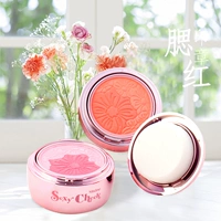 Thái Lan Mistine hai màu hoa mảng bám blush rouge cánh hoa ngọc trai không thấm nước sửa chữa tự nhiên lâu dài trang điểm nude - Blush / Cochineal má hồng sivanna colors