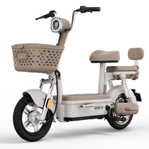Luyuan 48V16A long-range electric bicycle FBZ7 lead-acid new national standard small commuter mobility battery car