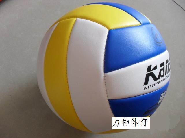 Ballon de volley-ball - Ref 2012838 Image 3