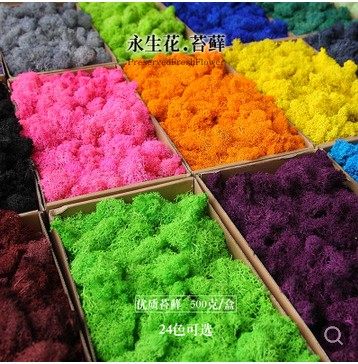 Yongsheng Flower Flower Material Material Package Diy Dry Flower Decorative Plant Wall Simulation Moss Wall Moss Box Fit 500 gr fluffy