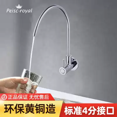 Water softener Brass single cold water faucet Household direct drinking faucet Kitchen pure faucet accessories into the wall outlet nozzle