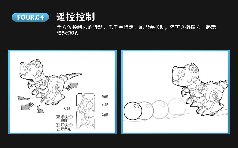 Dinosaur description_09.jpg