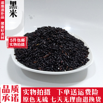 Black rice 500g Black rice porridge Black rice farm grain black glutinous rice Black fragrant rice Purple rice Any 5 pieces