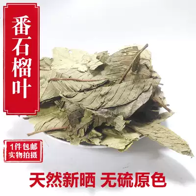 New Guava Leaf Tea 500g Wild Sun Dried Guava Leaf Guava Dried Fruit Tea Dry
