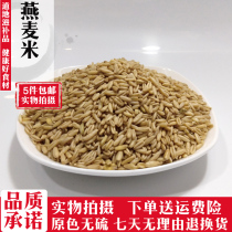 Oatmeal 500g oatmeal kernel grain rice selection farm oats 5 pieces