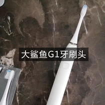 Suitable for Big shark oralsharkG1 sonic electric toothbrush oblique brush head Universal replacement head 1741