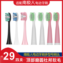 Suitable for Antarctic people NJR-D1 electric toothbrush brush head special replacement head soft hair NBX6F52143 53LTZ08