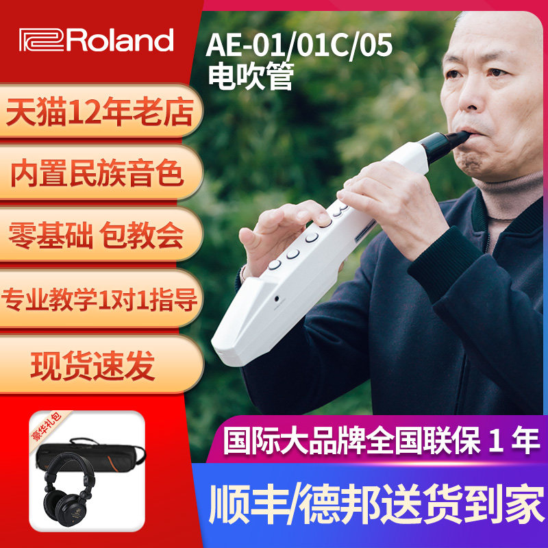Roland Roland Electric Blow Pipe Instrument AE01C AE05 Electrosax Seniors Entertainment Beginner Vacuum Tube Music