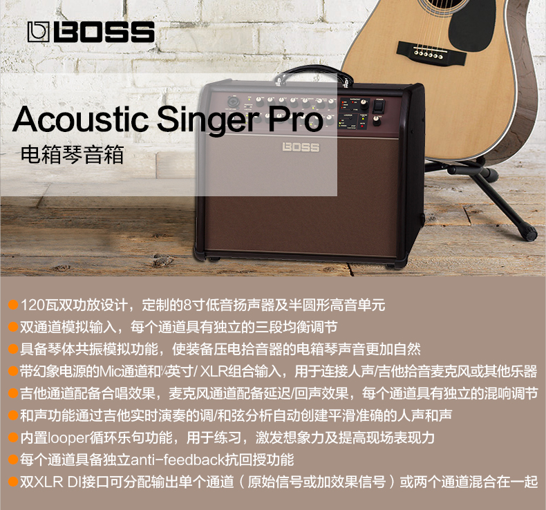 Roland Boss Acoustic Singer LIVE PRO guitar điện hộp loa piano ballad - Loa loa loa jbl pulse 3